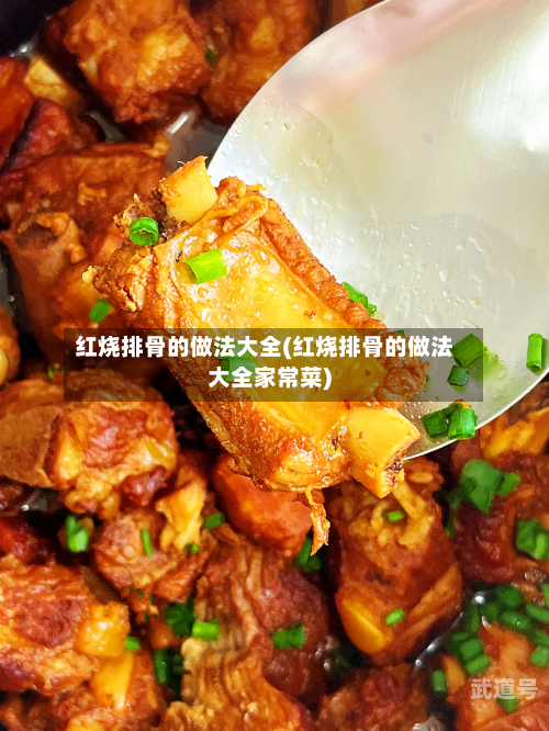 红烧排骨的做法大全(红烧排骨的做法大全家常菜)-第2张图片