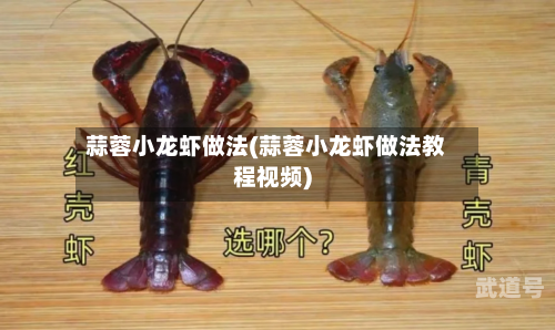 蒜蓉小龙虾做法(蒜蓉小龙虾做法教程视频)-第1张图片