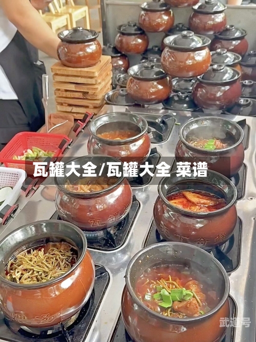 瓦罐大全/瓦罐大全 菜谱-第3张图片