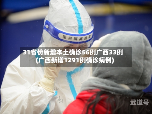31省份新增本土确诊56例广西33例(广西新增1291例确诊病例)-第2张图片