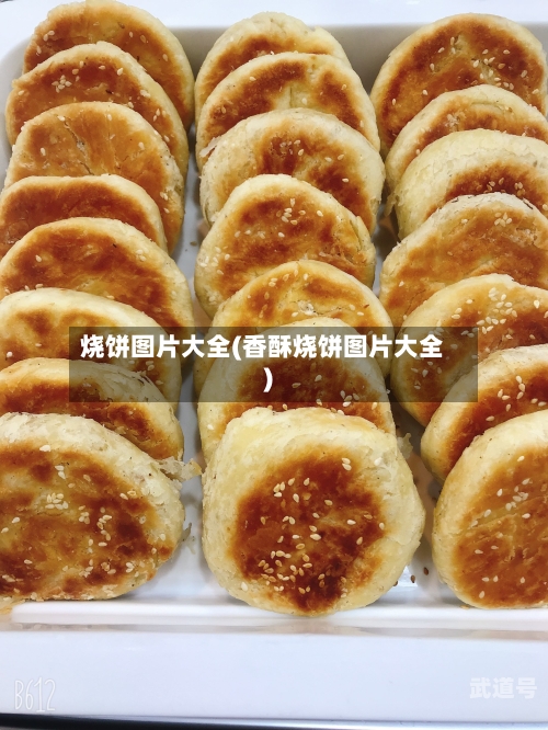 烧饼图片大全(香酥烧饼图片大全)-第1张图片