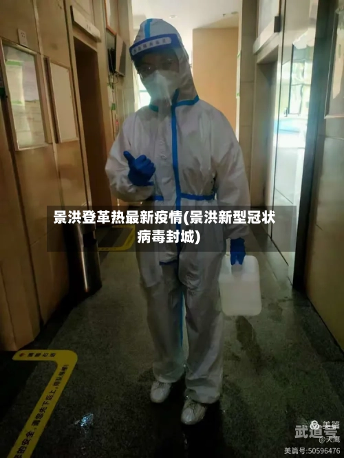 景洪登革热最新疫情(景洪新型冠状病毒封城)-第3张图片